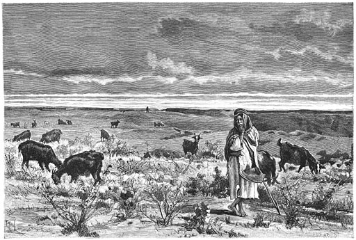 Herder en kudde in de ru&iuml;nen van Babylon.