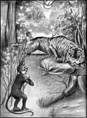 With all his might he threw the empty cocoanut shell right
at the tiger's head. (Page 35) <i>Frontispiece</i>