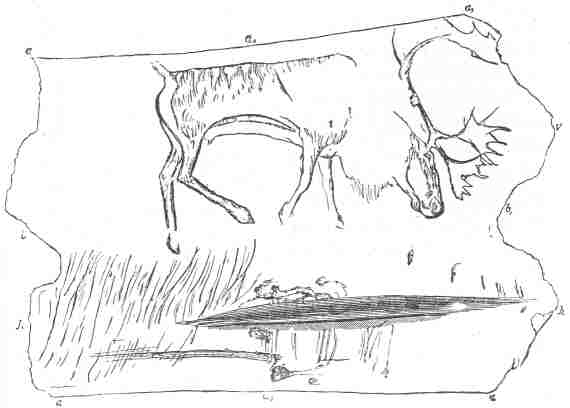 Fig. 14.  Pal&aelig;olithic sketch - a reindeer