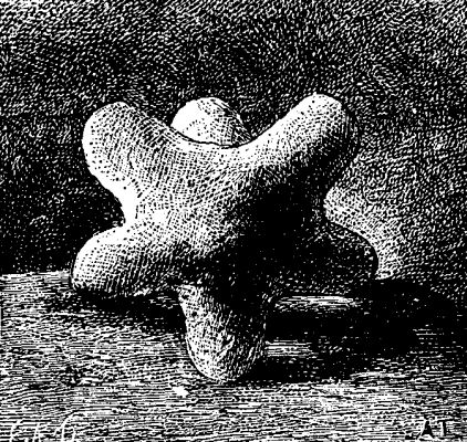  FIG. 2.&mdash;EXPERIMENT ON THE ELASTICITY OF BODIES.