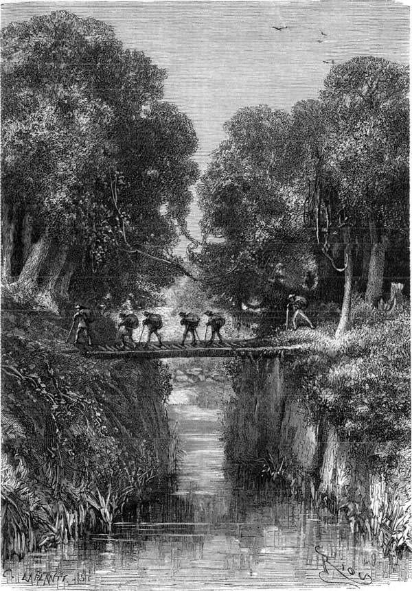 "THE MAMABAMBA WAS CROSSED BY AN EXTEMPORIZED BRIDGE."&mdash;P. 35.