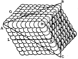 {paralleloid arrangement of spheroids with planes of
potential cleavage}