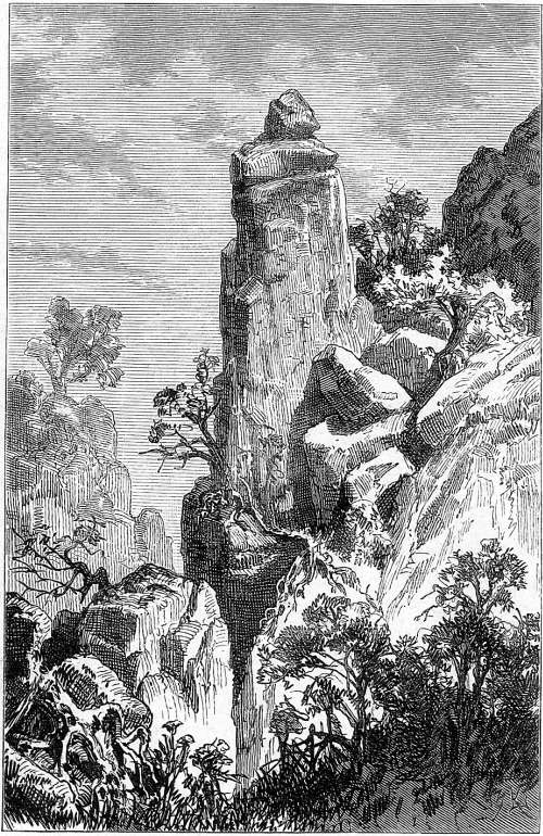 Naprstek-H&ouml;hen.