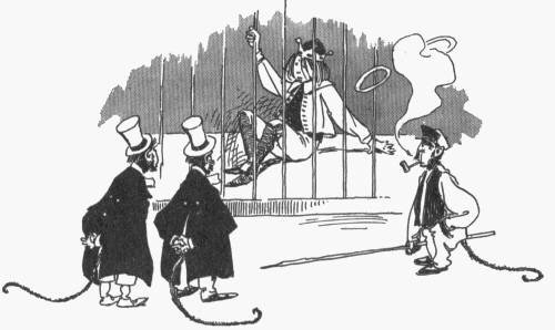 The professor monkeys examine
Zingle