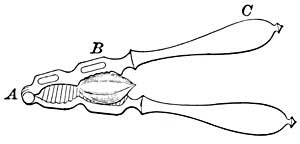 FIG. 101.&mdash;The nutcracker is a lever.