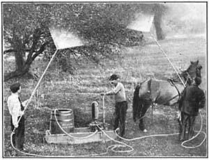 FIG. 143.&mdash;Spraying trees by means of a compression
pump.