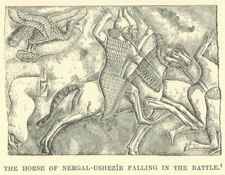 054.jpg the Horse of Nergal-ushez�b Falling in The Battle 