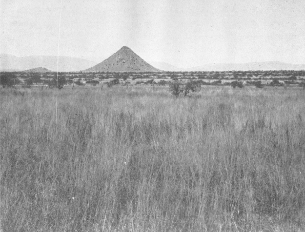 Plate IV. Fig. 1.&mdash;Range Conditions Favoring Kangaroo Rats.