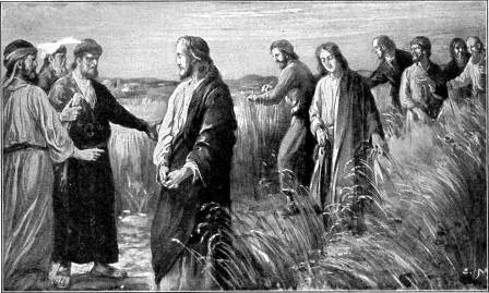 CHRIST AND HIS DISCIPLES IN
THE CORN-FIELDS

"The Son of man is Lord even of the
Sabbath day." Matt. 12:8.