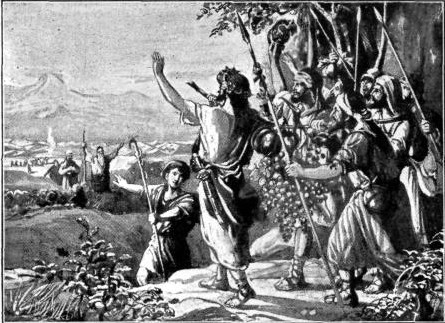 THE SPIES' RETURN

"The land, which we passed through to search
it, is an exceeding good land." Num. 14:7.