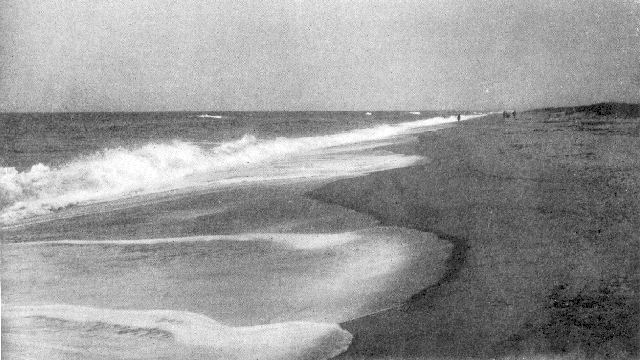South shore, Martha's Vineyard, Massachusetts, showing
a characteristic sand beach with long slope and low dunes. Note the
three lines of breakers and the splash flows cutting little bays in
the sand.