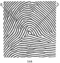 Fig. 144