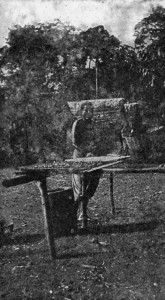 DRYING CACAO BEANS AT MRAMRA.
Reproduced by permission from the Imperial Institute series of
Handbooks to the Commercial Resources of the Tropics.
