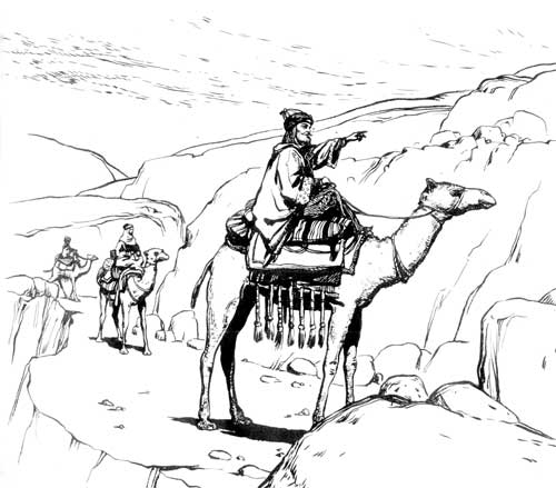 Illustration