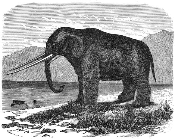 Fig. 292. De mastodon, de voorbode van den olifant. Miocene periode.