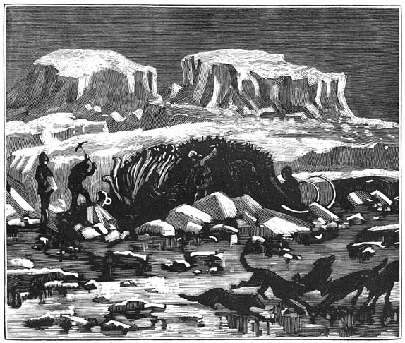 Fig. 305. Mammouth, met vleesch en huid in het ijs van Siberi&euml; gevonden.