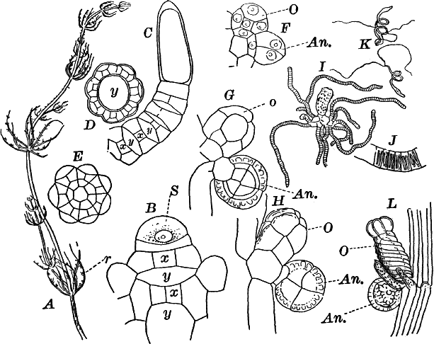 Fig.&nbsp;23.