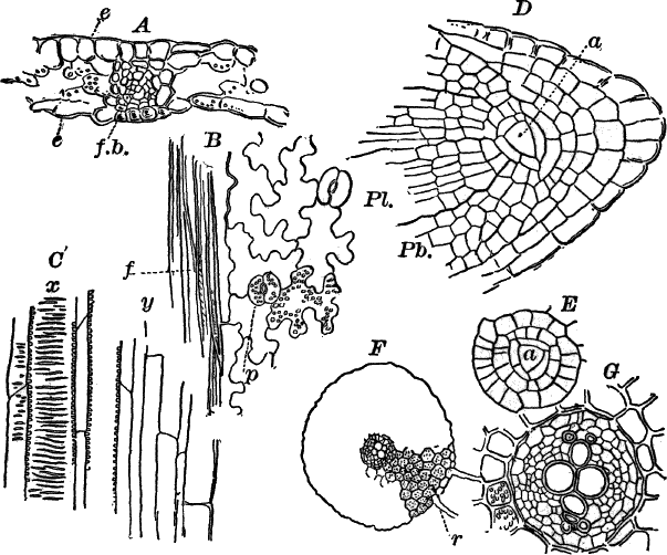 Fig.&nbsp;68.