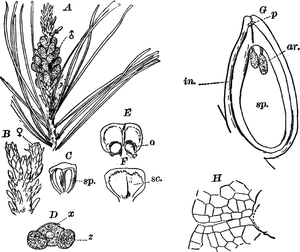 Fig.&nbsp;77.