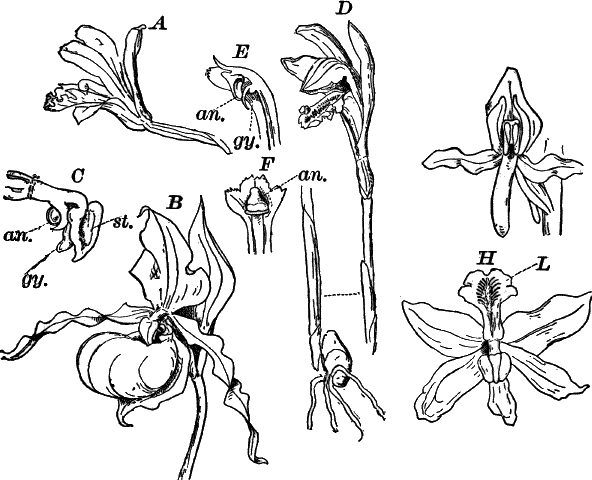 Fig.&nbsp;90.