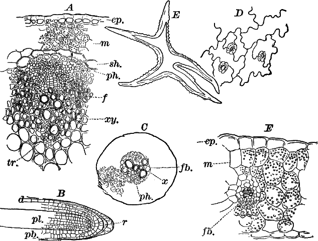 Fig.&nbsp;94.