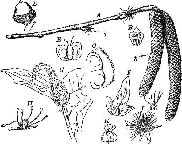 Fig.&nbsp;97.