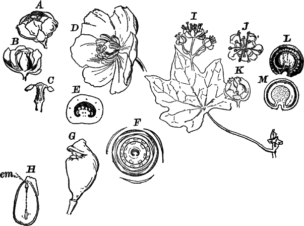 Fig.&nbsp;101.