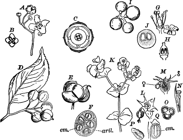 Fig.&nbsp;109.