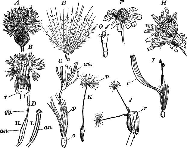 Fig.&nbsp;125.