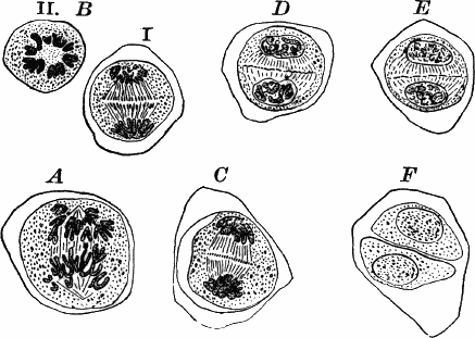 Fig.&nbsp;128.