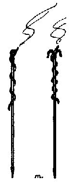 Figure 18&mdash;LINSTOCKS