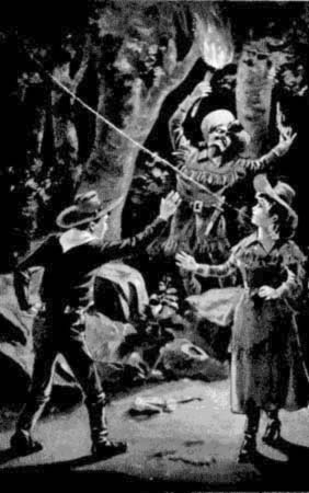 Dick had let fly the jagged stone,
taking him directly in the forehead