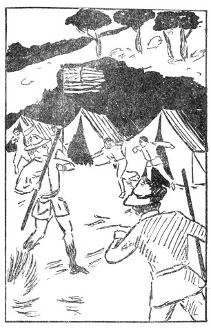 "COME ON, FELLOWS; US TO THE ATTACK!" CALLED BOBOLINK.
Banner Boy Scouts on a Tour, Page 217
