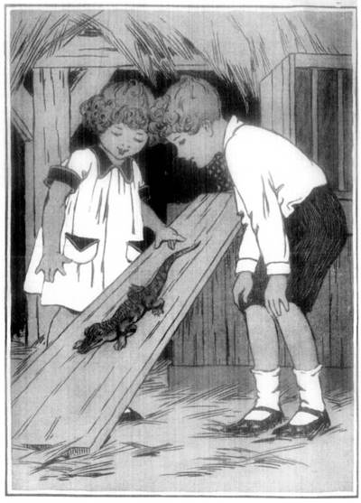 SLIDER WENT SLIDING DOWN THE SMOOTH SLANTING BOARD.
"The Curlytops and Their Pets"              Page 102