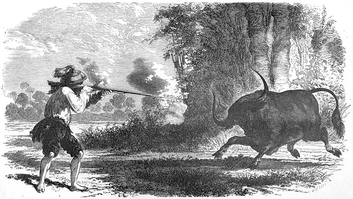 P. de la Gironi&egrave;re tuant un buffle. Page 148.
