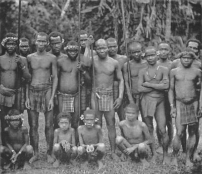 Negrito type: Semang of Perak (from Skeat and Blagden's
"Pagan Races of the Malay Peninsula")