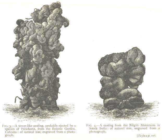 Fig. 3: A tower-like casting.  Fig. 4: A casting from the
Nilgiri Mountains