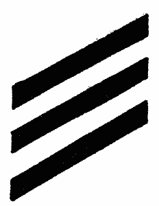 Fig. 277&mdash;Oblique parallel line decoration