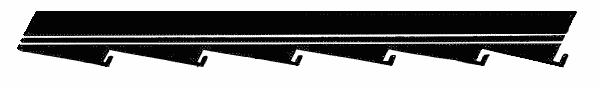 Fig. 281&mdash;Parallel lines of different width; serrate margin