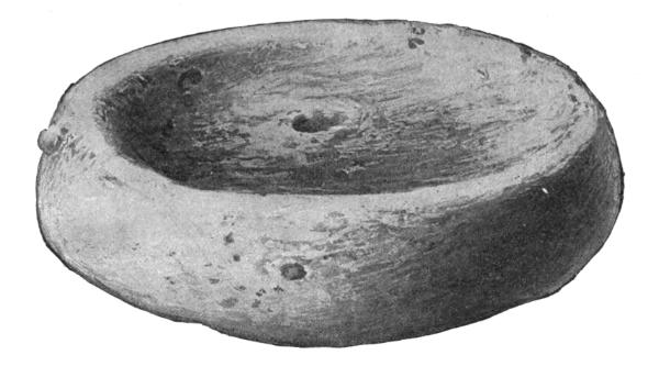 Fig. 356&mdash;Kaolin disk (natural size)