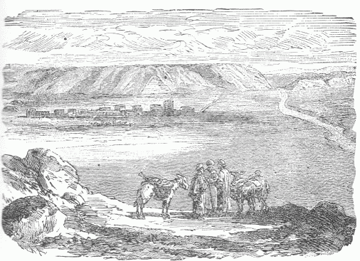 17.&mdash;VIEW OF KOYUNJIK. (Hommel.)