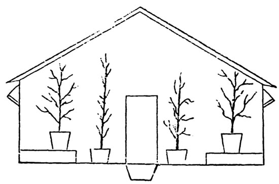Fig. 59.&mdash;Interior View.