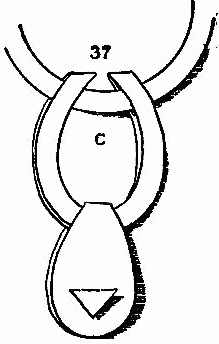 Fig. 37&mdash;Fasten the pendant on the ring.