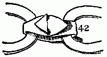 Fig. 42&mdash;Fasten the clasp in this way.