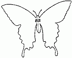 Fig. 82&mdash;Pattern of butterfly.