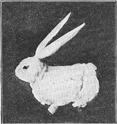 Fig. 110&mdash;Such a funny little long-eared rabbit.
