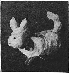 Fig. 111&mdash;The doggie's head is large.