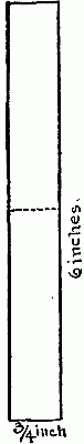 Fig. 240&mdash;The leaves.