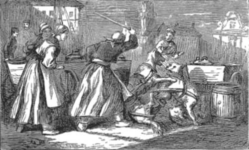 A Disagreement among the Dog Teams.&mdash;Page 314.