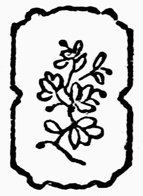 decoraci�n